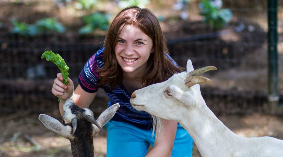 Louise camper with goats